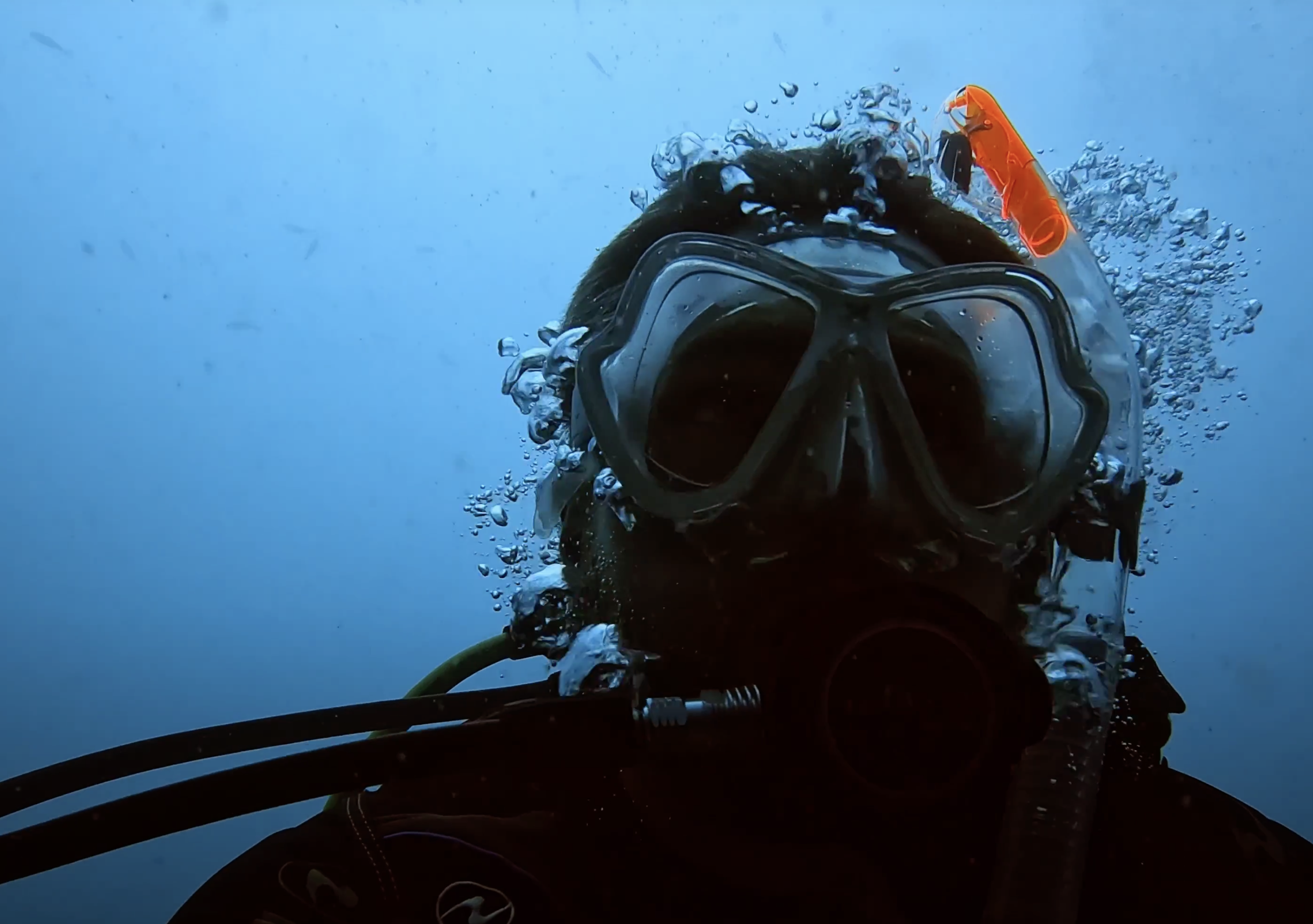 Nitrox Diving
